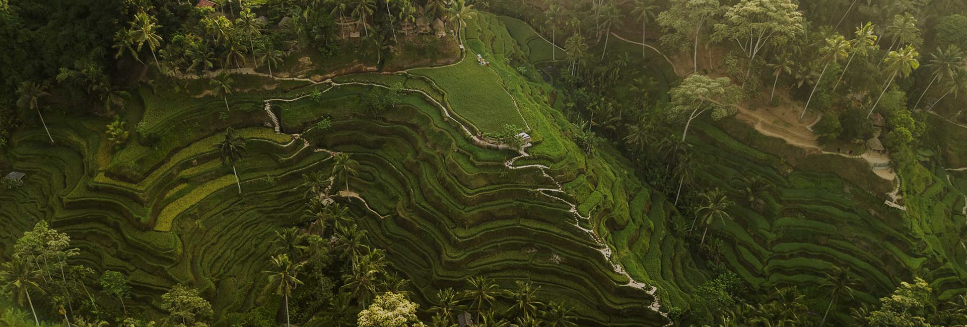 love bali